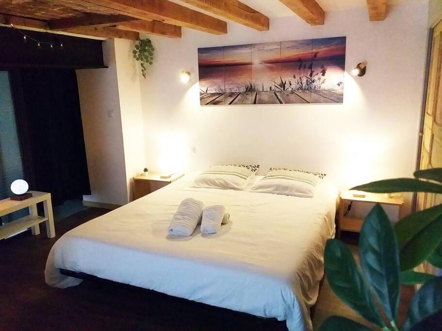Le Paisible - Gare - Duplex - Garage Prive - Netflix Lejlighed Grenoble Eksteriør billede